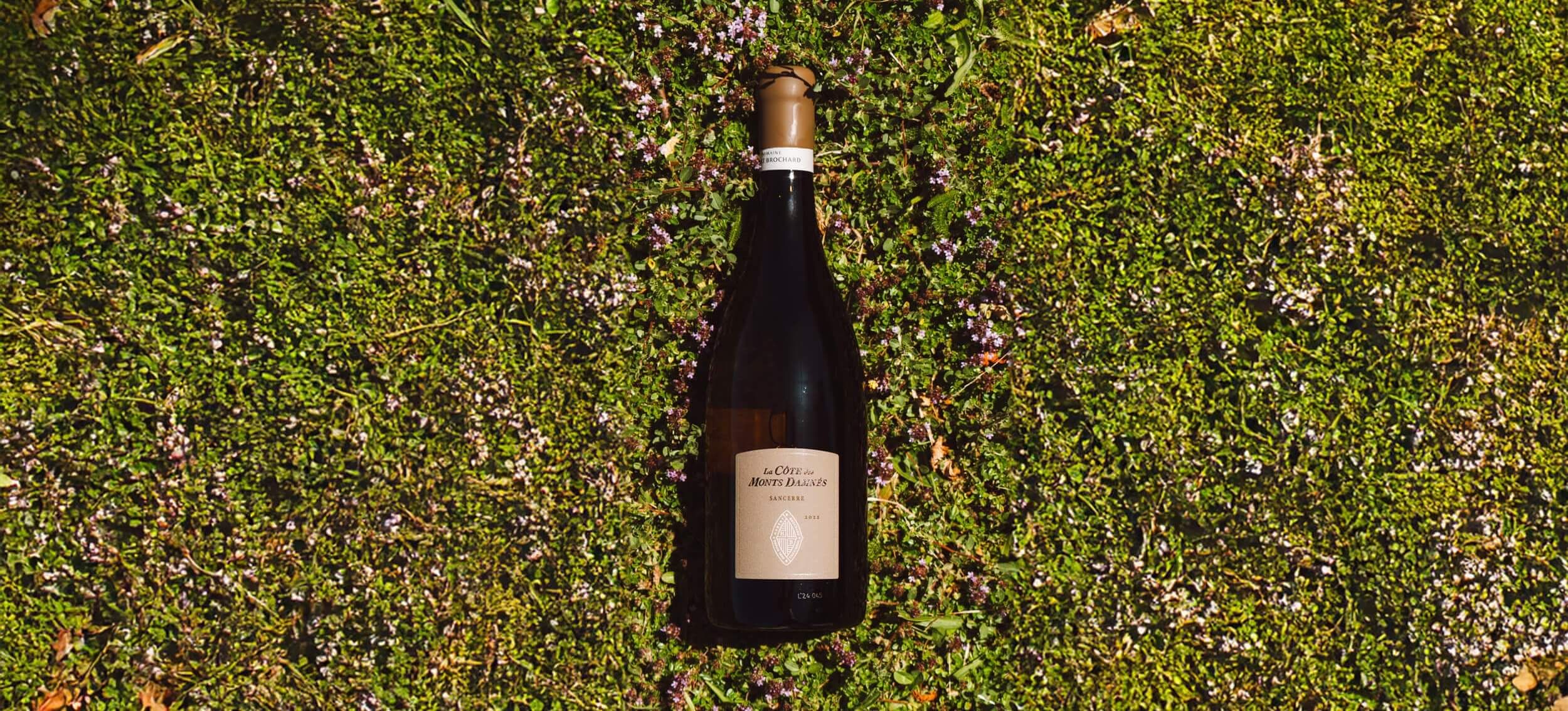 Quand le Domaine Hubert Brochard s’invite à la Cité du Vin - Domaine Hubert Brochard