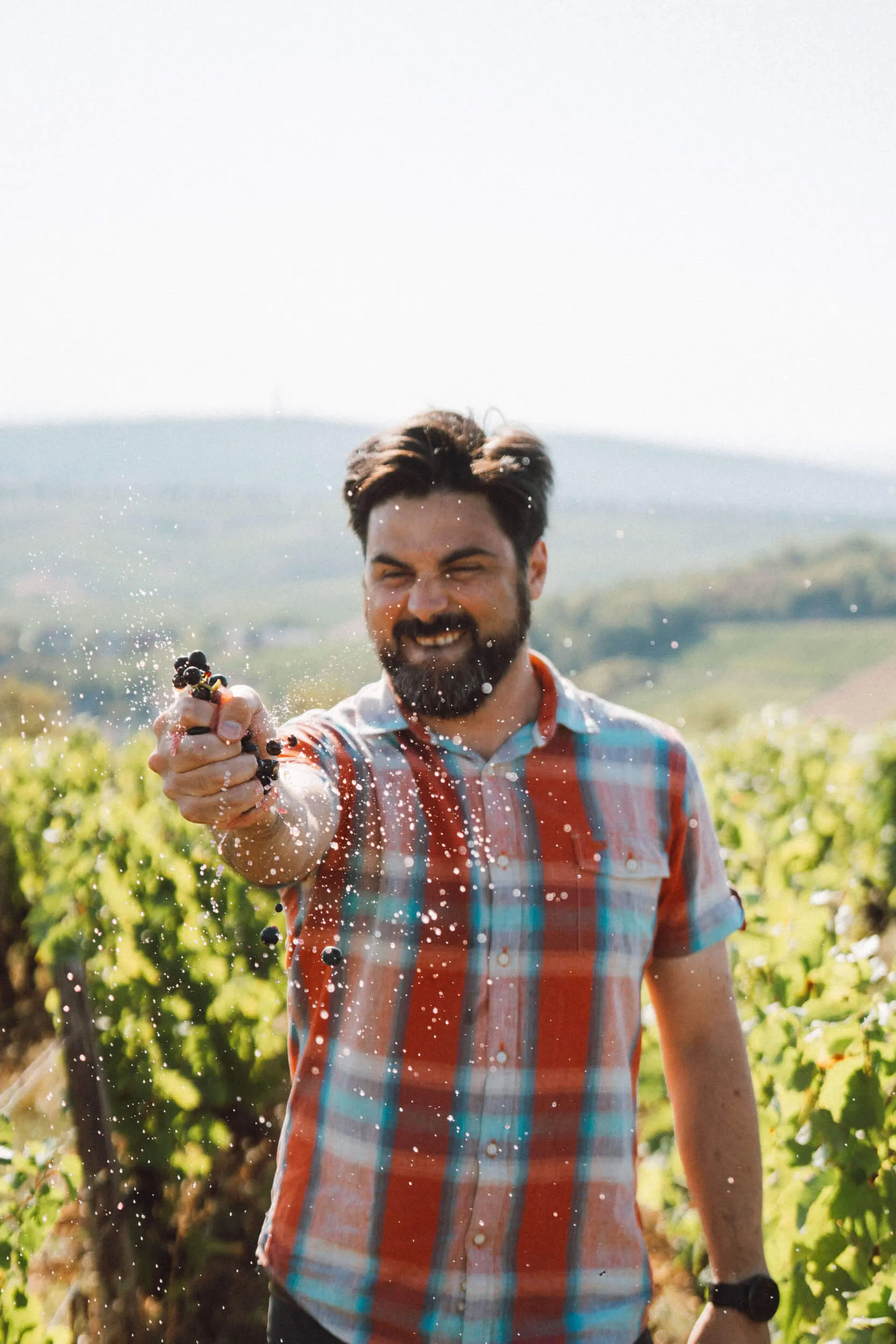 Nos valeurs - Domaine Hubert Brochard