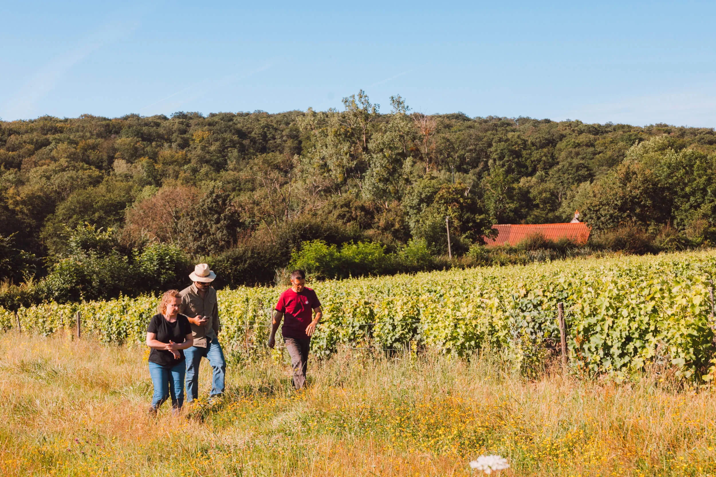 Our values - Hubert Brochard